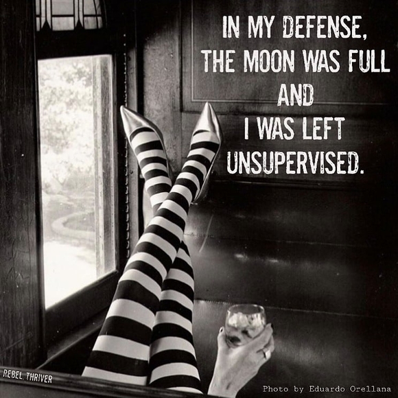 Meet your Posher, Pauly - Picture 1 of 1